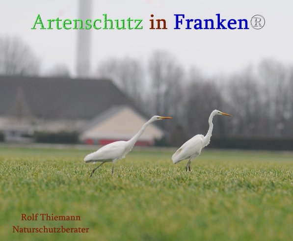 Copyright AiS Rolf Thiemann Bild zum Eintrag (71700-160)