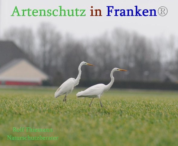 Copyright AiS Rolf Thiemann Bild zum Eintrag (71701-160)