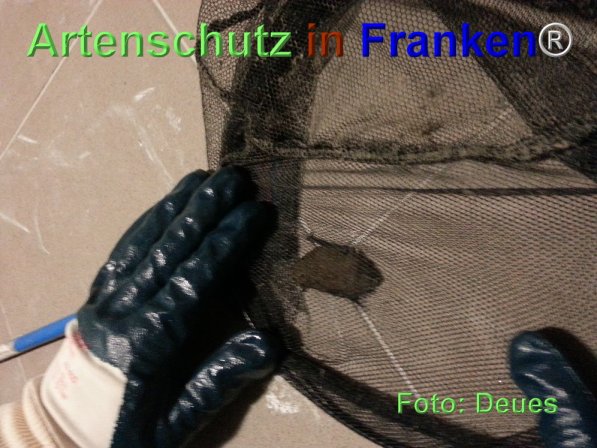 Copyright AiF Deues Bild zum Eintrag (71768-160)