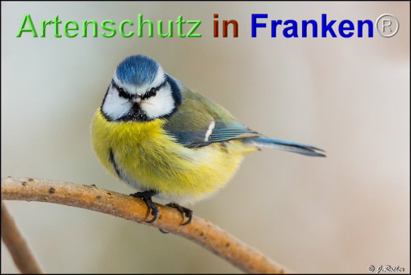 Copyright AiF Johannes Rother Bild zum Eintrag (71777-160)
