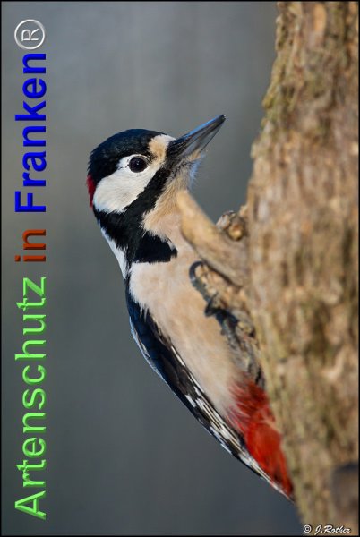 Copyright AiF Johannes Rother Bild zum Eintrag (71786-160)