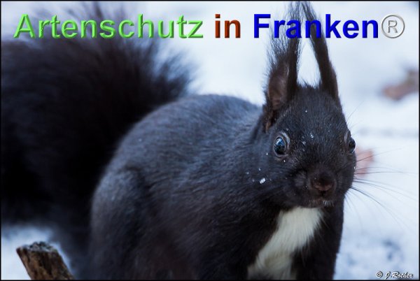 Copyright AiF Johannes Rother Bild zum Eintrag (71794-160)