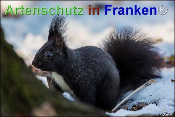 Copyright AiF Johannes Rother Bild zum Eintrag (71795-160)