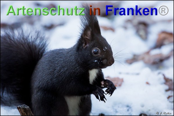 Copyright AiF Johannes Rother Bild zum Eintrag (71796-160)