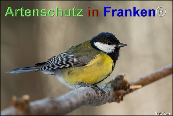 Copyright AiF Johannes Rother Bild zum Eintrag (71804-160)
