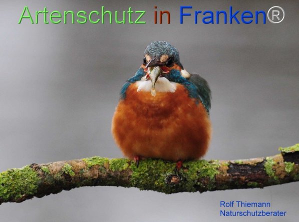 Copyright AiF Rolf Thiemann Bild zum Eintrag (72317-160)