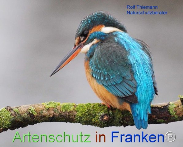 Copyright AiF Rolf Thiemann Bild zum Eintrag (72325-160)