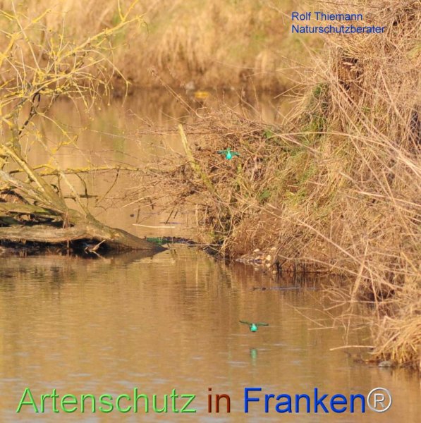 Copyright AiF Rolf Thiemann Bild zum Eintrag (72327-160)