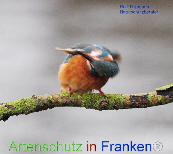 Copyright AiF Rolf Thiemann Bild zum Eintrag (72328-160)