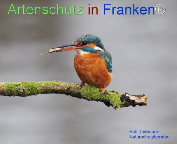 Copyright AiF Rolf Thiemann Bild zum Eintrag (72330-160)