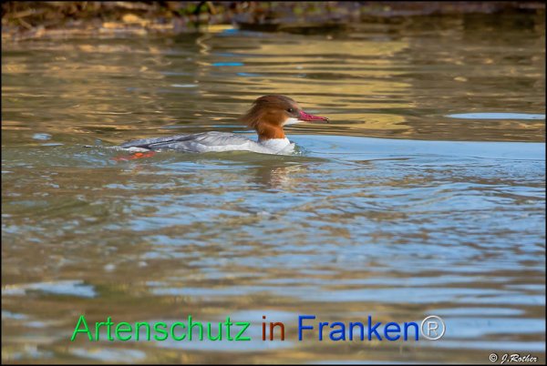 Copyright AiF Johannes Rother Bild zum Eintrag (72336-160)