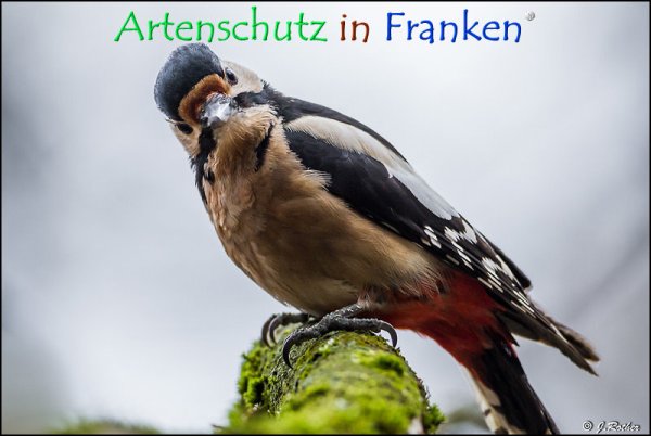 Copyright AiF Johannes Rother Bild zum Eintrag (72344-160)