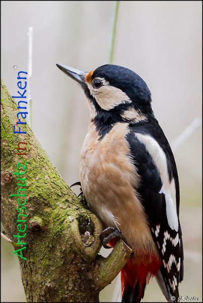 Copyright AiF Johannes Rother Bild zum Eintrag (72345-160)