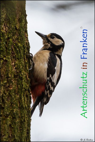 Copyright AiF Johannes Rother Bild zum Eintrag (72346-160)