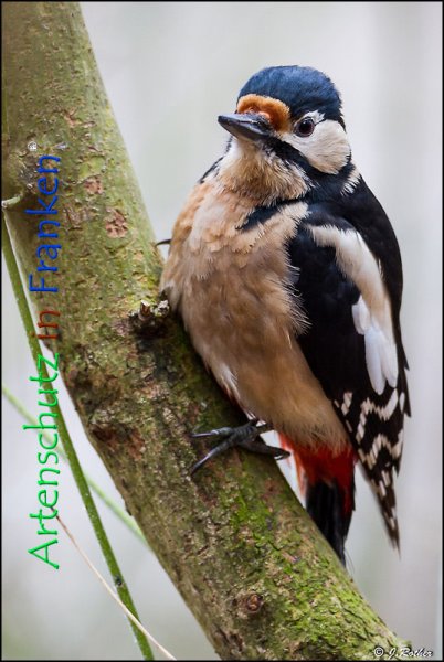Copyright AiF Johannes Rother Bild zum Eintrag (72347-160)