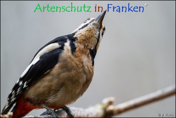 Copyright AiF Johannes Rother Bild zum Eintrag (72348-160)