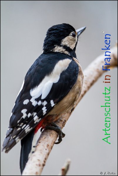 Copyright AiF Johannes Rother Bild zum Eintrag (72349-160)