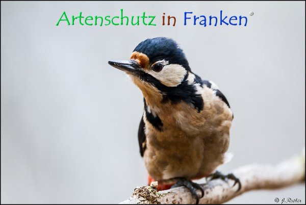 Copyright AiF Johannes Rother Bild zum Eintrag (72353-160)