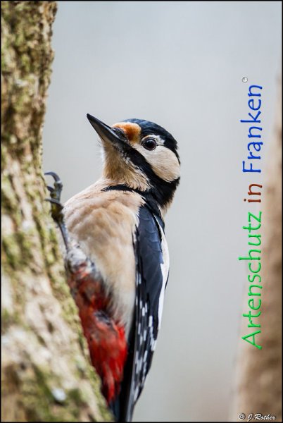 Copyright AiF Johannes Rother Bild zum Eintrag (72354-160)