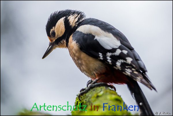 Copyright AiF Johannes Rother Bild zum Eintrag (72355-160)