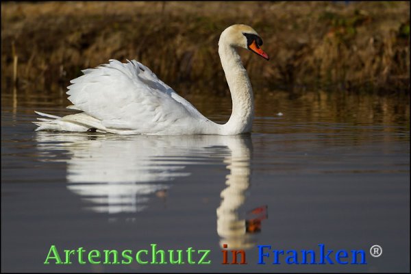 Copyright AiF Johannes Rother Bild zum Eintrag (72586-160)