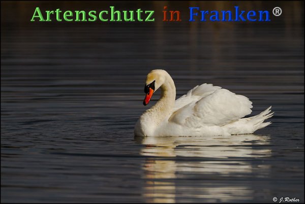 Copyright AiF Johannes Rother Bild zum Eintrag (72587-160)