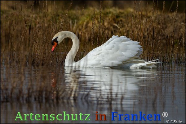 Copyright AiF Johannes Rother Bild zum Eintrag (72588-160)