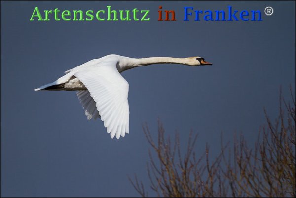 Copyright AiF Johannes Rother Bild zum Eintrag (72589-160)