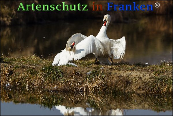 Copyright AiF Johannes Rother Bild zum Eintrag (72590-160)