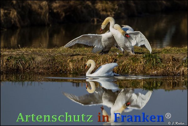 Copyright AiF Johannes Rother Bild zum Eintrag (72591-160)
