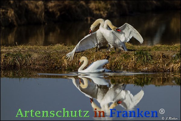 Copyright AiF Johannes Rother Bild zum Eintrag (72592-160)