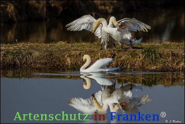 Copyright AiF Johannes Rother Bild zum Eintrag (72593-160)