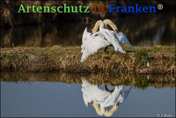 Copyright AiF - Albert Meier Bild zum Eintrag (72595-160)