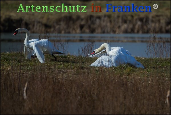 Copyright AiF Johannes Rother Bild zum Eintrag (72596-160)