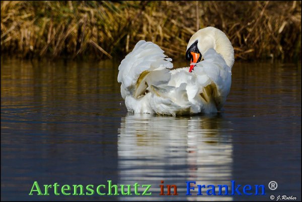 Copyright AiF Johannes Rother Bild zum Eintrag (72597-160)