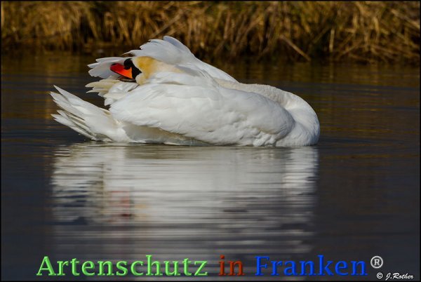Copyright AiF Johannes Rother Bild zum Eintrag (72601-160)