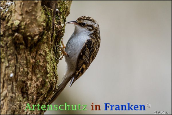 Copyright AiF Johannes Rother Bild zum Eintrag (72642-160)