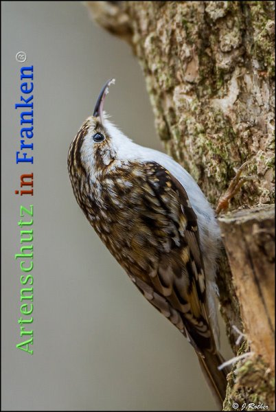 Copyright AiF Johannes Rother Bild zum Eintrag (72643-160)