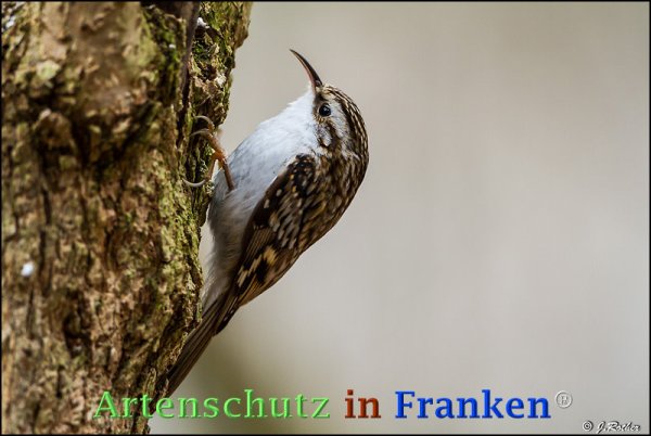 Copyright AiF Johannes Rother Bild zum Eintrag (72644-160)