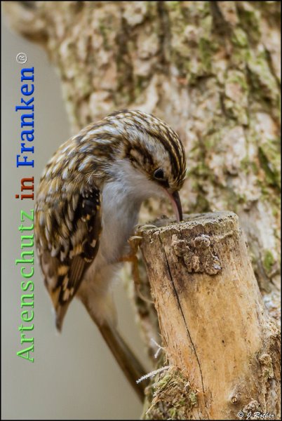 Copyright AiF Johannes Rother Bild zum Eintrag (72645-160)