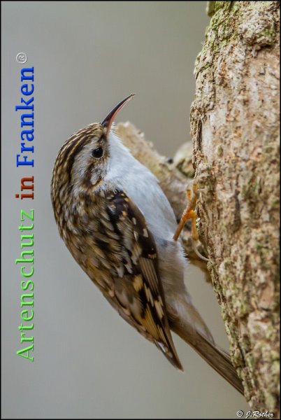 Copyright AiF Johannes Rother Bild zum Eintrag (72646-160)