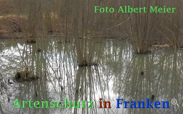 Bild zum Eintrag (72810-160)