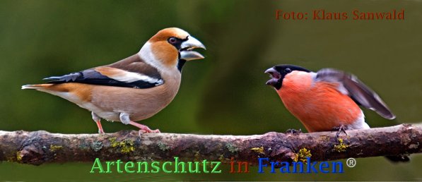 Copyright AiF Klaus Sanwald Bild zum Eintrag (72817-160)