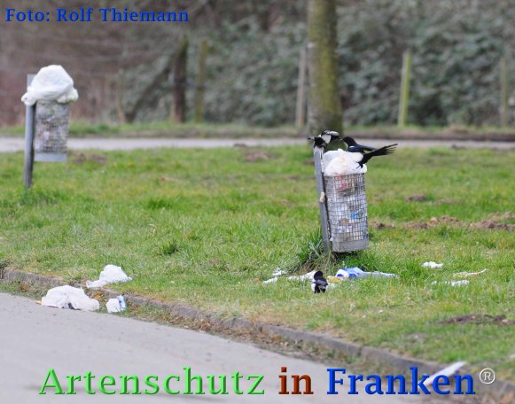 Copyright AiF Rolf Thiemann Bild zum Eintrag (72823-160)