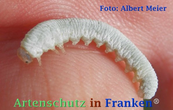 Bild zum Eintrag (72844-160)