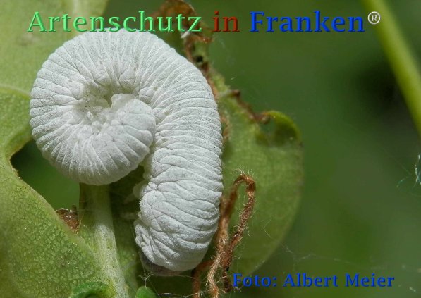 Bild zum Eintrag (72845-160)