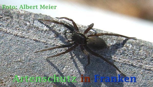 Bild zum Eintrag (72944-160)