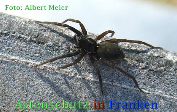 Bild zum Eintrag (72946-160)