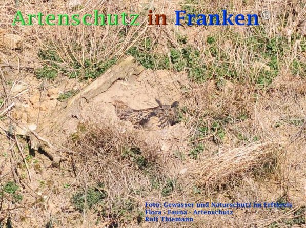 Copyright AiF Rolf Thiemann Bild zum Eintrag (72963-160)