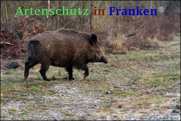 Copyright AiF Johannes Rother Bild zum Eintrag (73298-160)